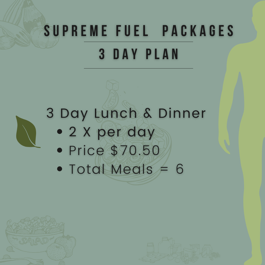 3 Day Fuel Plan Lunch/Dinner